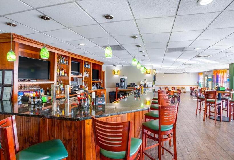 호텔 Bay Watch 1941