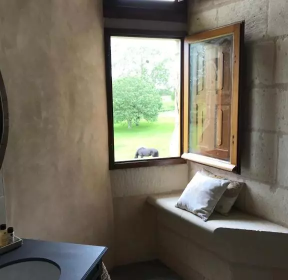 Aamiaismajoitus (B&B) Manoir De Chandoiseau