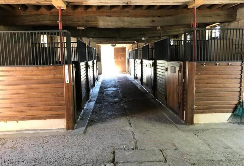 צימר Manoir De Chandoiseau