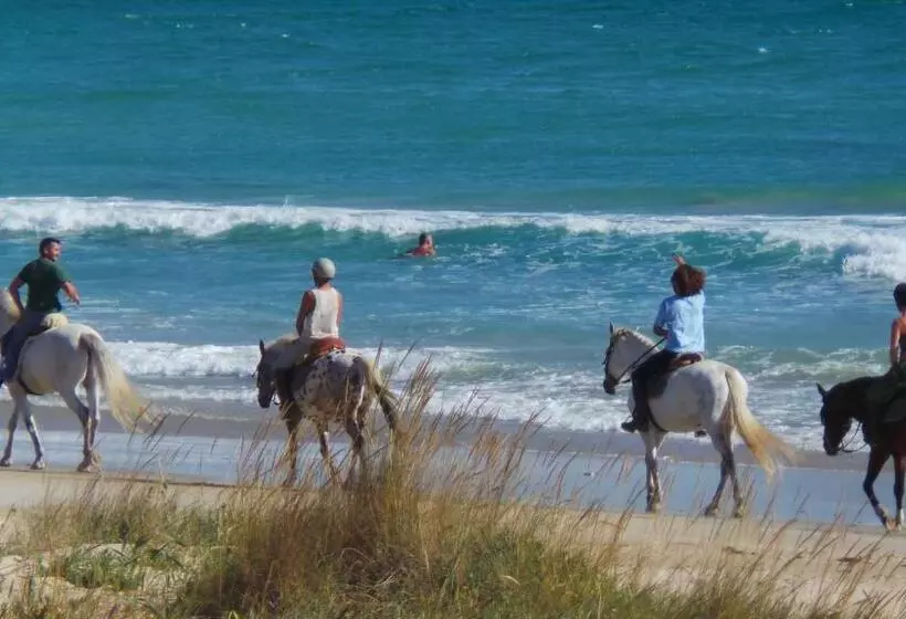 Отель Arte Vida