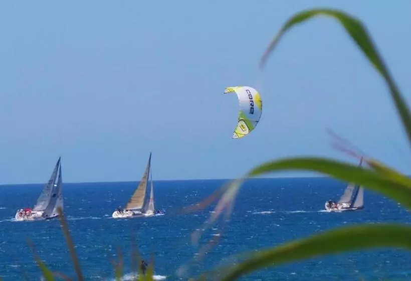 Отель Arte Vida