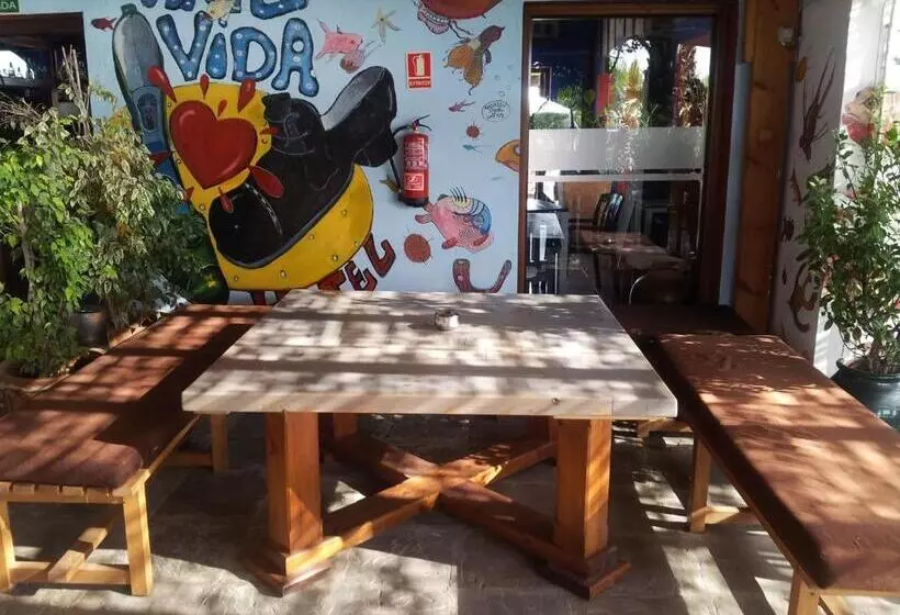 Отель Arte Vida