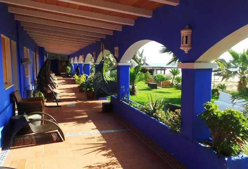 Отель Arte Vida