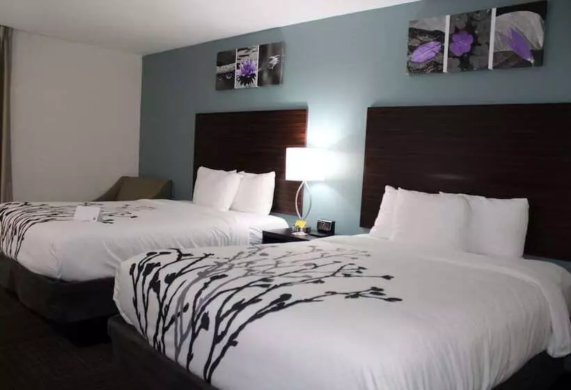 ホテル Wingate By Wyndham Kings Bay Naval Base I 95