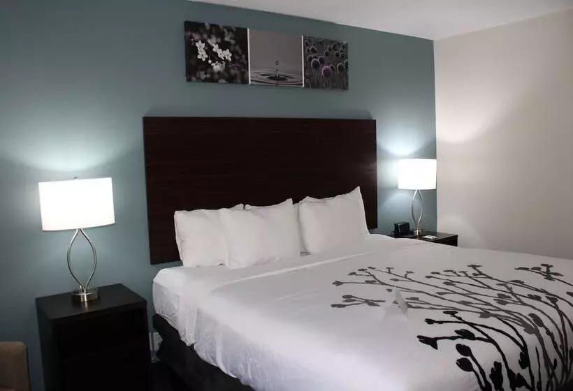 ホテル Wingate By Wyndham Kings Bay Naval Base I 95