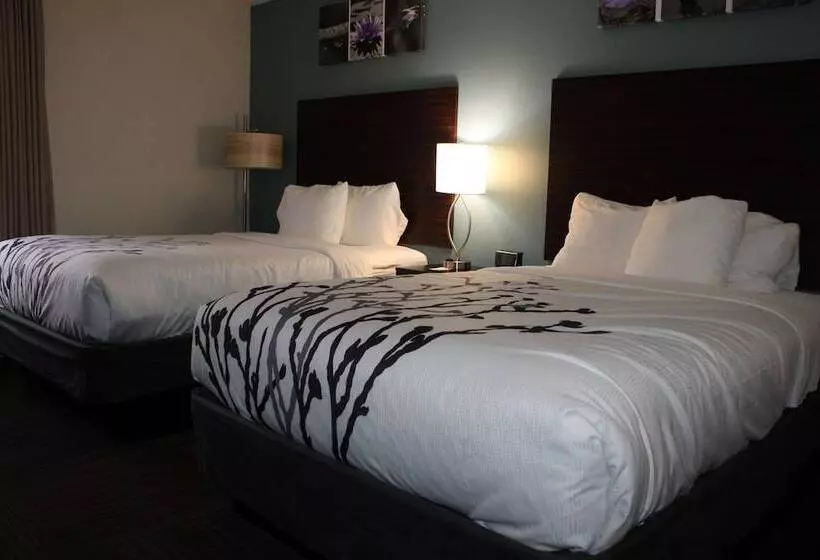 ホテル Wingate By Wyndham Kings Bay Naval Base I 95