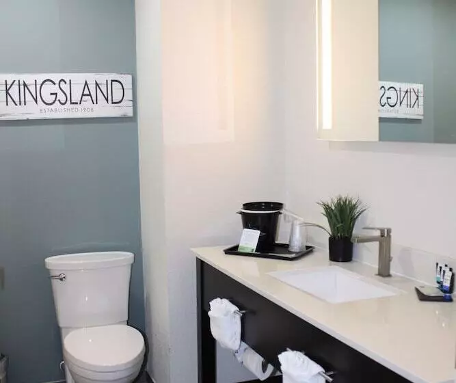 ホテル Wingate By Wyndham Kings Bay Naval Base I 95