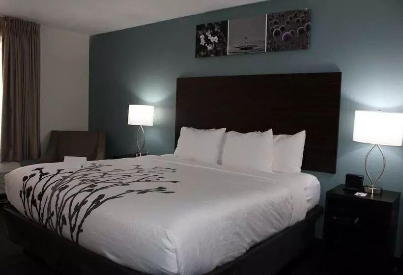 ホテル Wingate By Wyndham Kings Bay Naval Base I 95