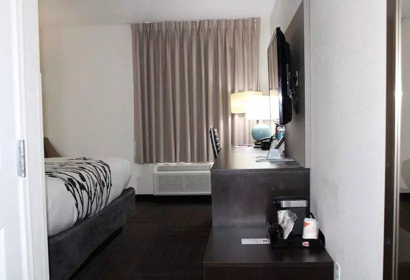 ホテル Wingate By Wyndham Kings Bay Naval Base I 95