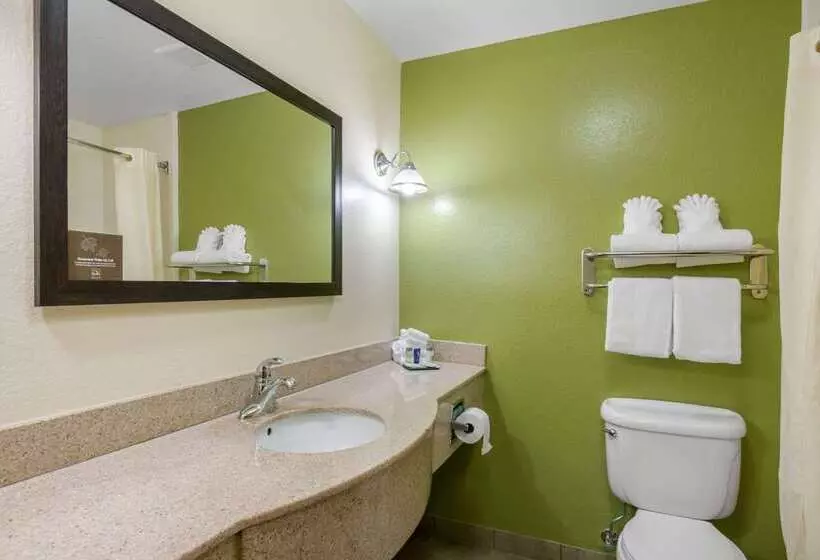 酒店 Sleep Inn & Suites Port Charlottepunta Gorda