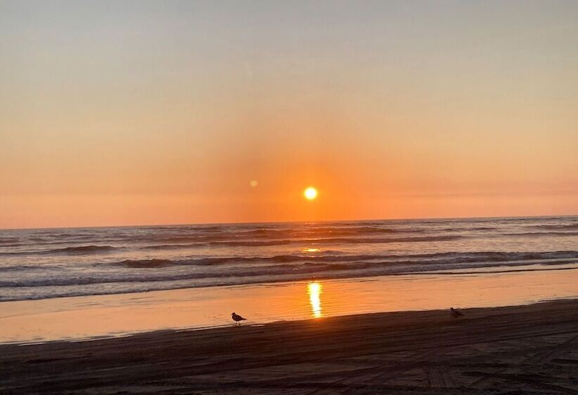 酒店 Hi Tide Resort