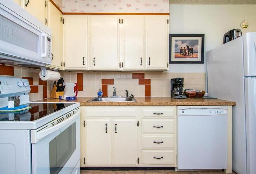 酒店 Hi Tide Resort