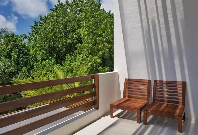 هتل Shaviyani Retreat