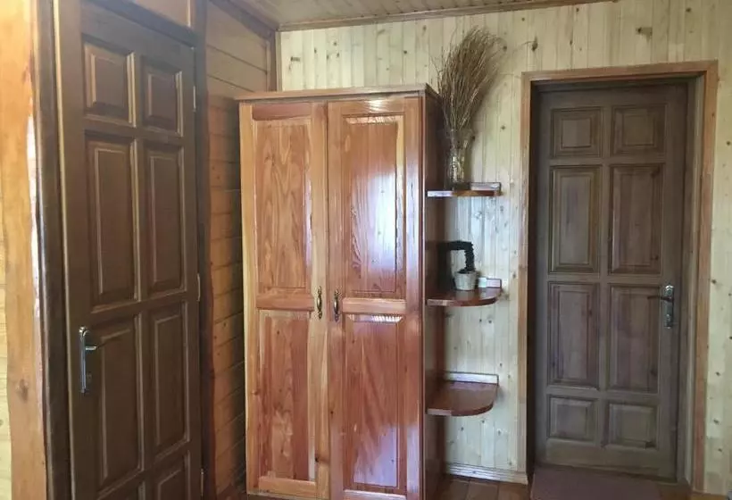 Majatalo барви карпат