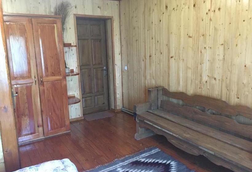 بنسيون барви карпат