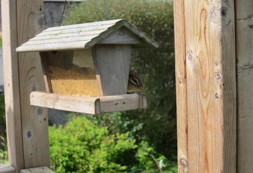 فندق صغير Auld Farm Inn B&b