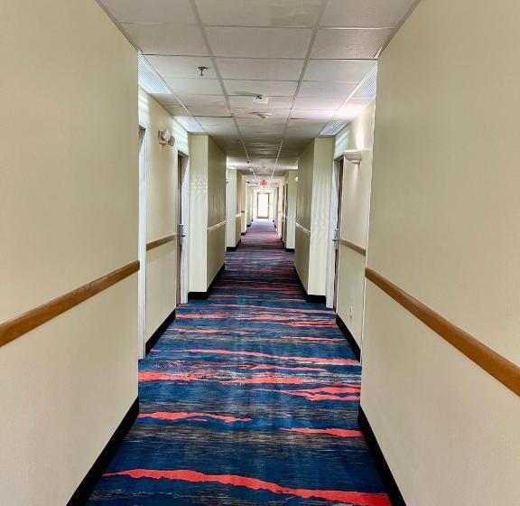 מוטל Hunter Lodge