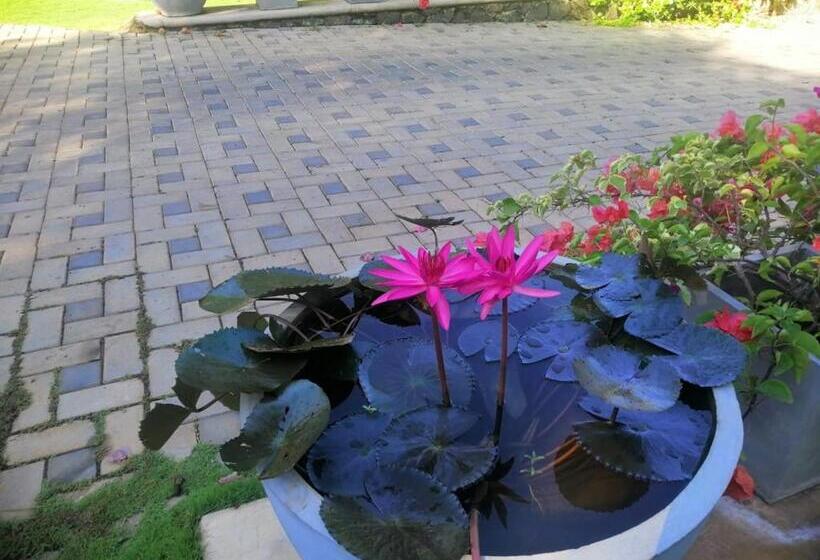 پانسیون Golden Residence