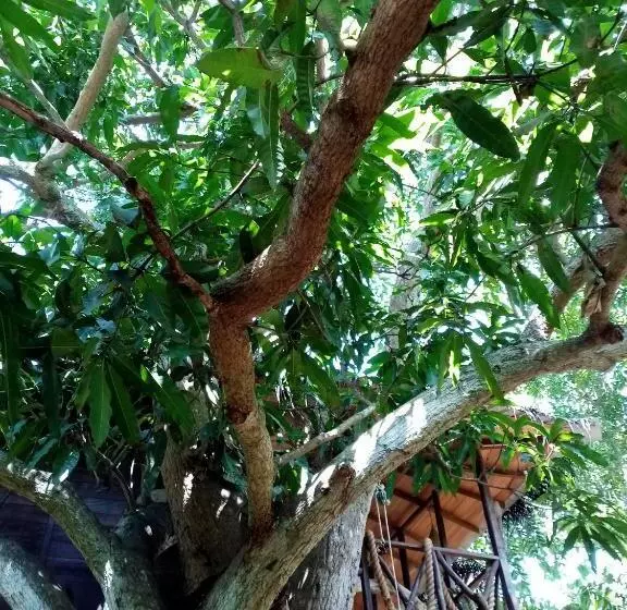 Majatalo Green Park Safari House & Eco Tree House