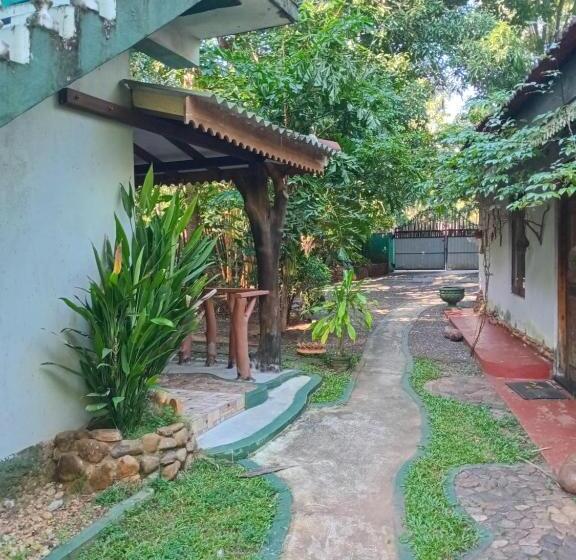 Пансион Green Park Safari House & Eco Tree House