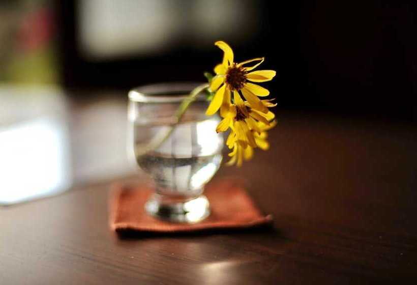 بنسيون Omeguri An