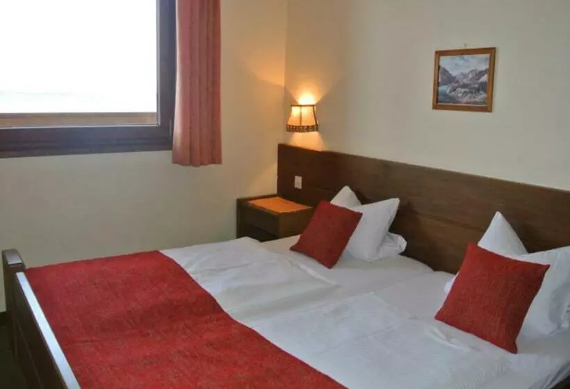 酒店 Baumgartnerhof