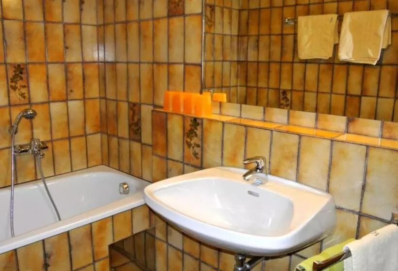 酒店 Baumgartnerhof