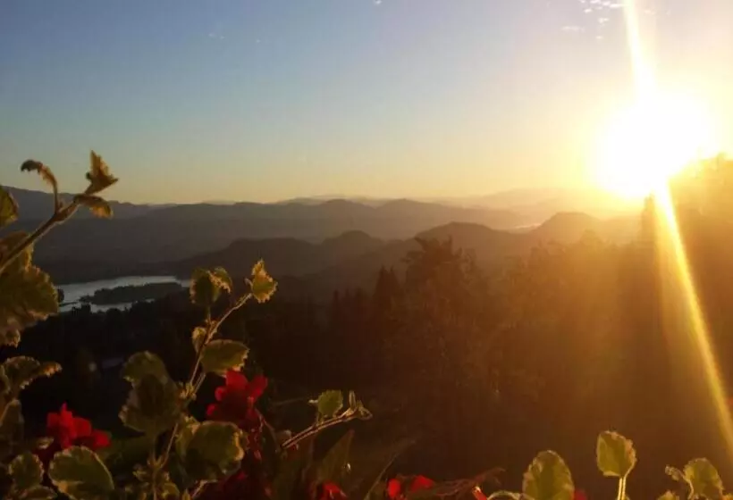 酒店 Baumgartnerhof