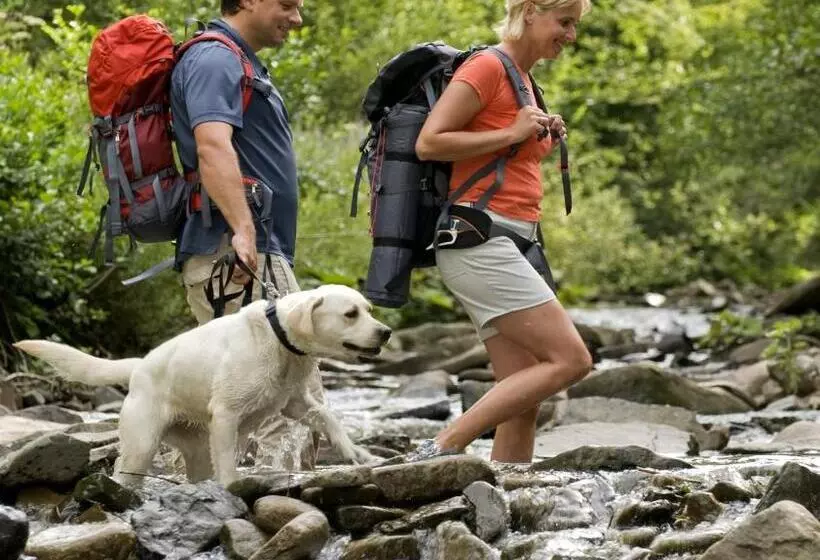 酒店 Baumgartnerhof