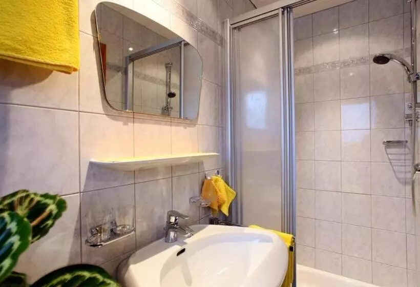 酒店 Baumgartnerhof