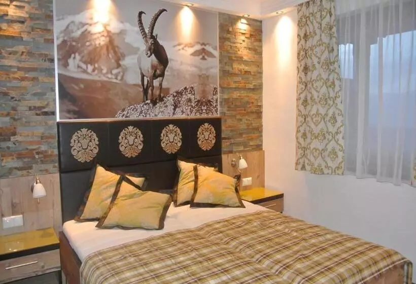 酒店 Baumgartnerhof