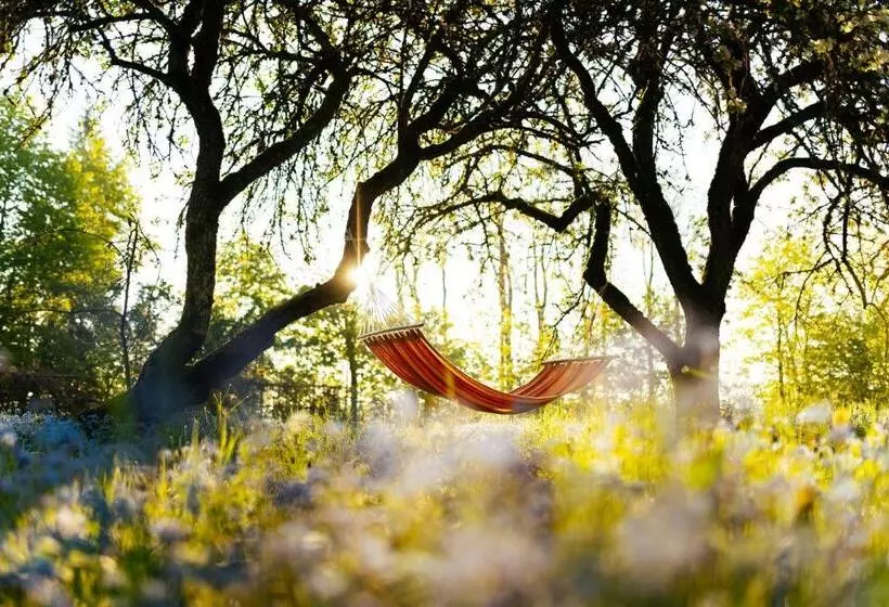 هتل Jaunmoku Palace Complex