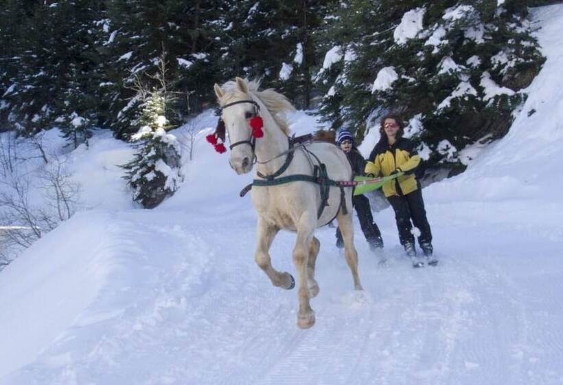 هتل Restaurant Le Blanchon