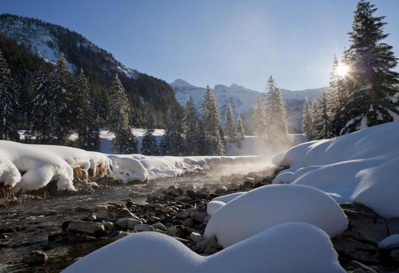 Отель Tauernhaus Wisenegg