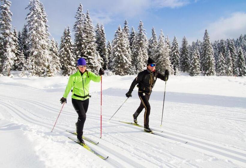 Hubertushof   Ihr Hotel Mit Herz