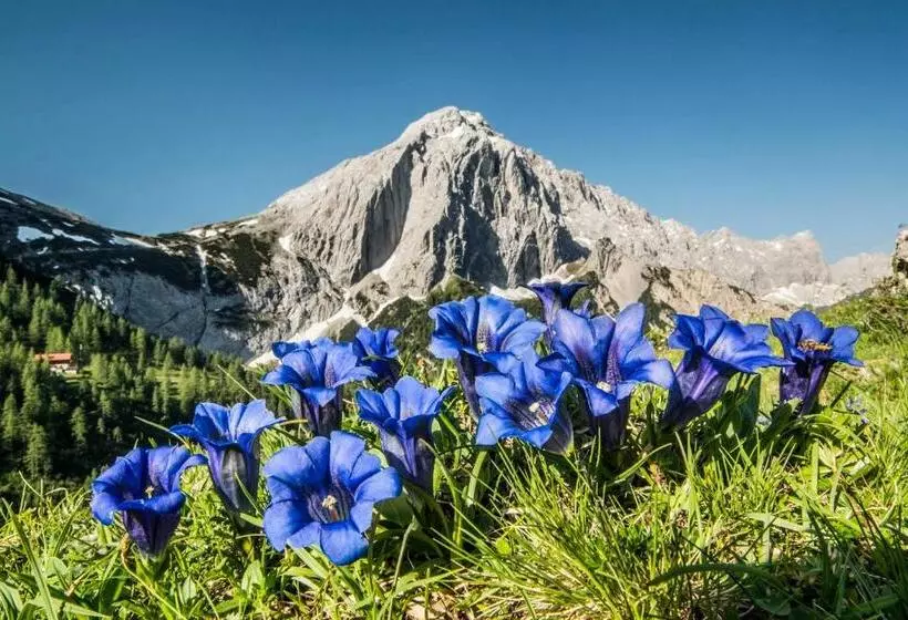 Hubertushof   Ihr Hotel Mit Herz