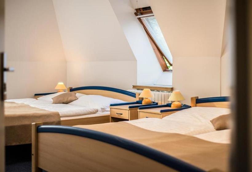 It Centrum Apartments