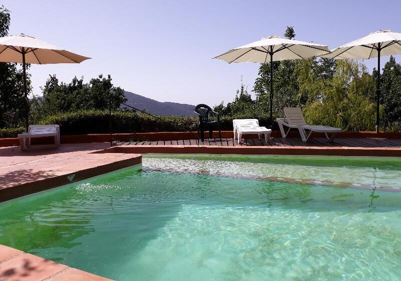 La Oveja Verde De La Alpujarra