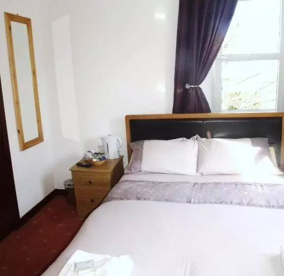 בית מלון כפרי The Brown Trout