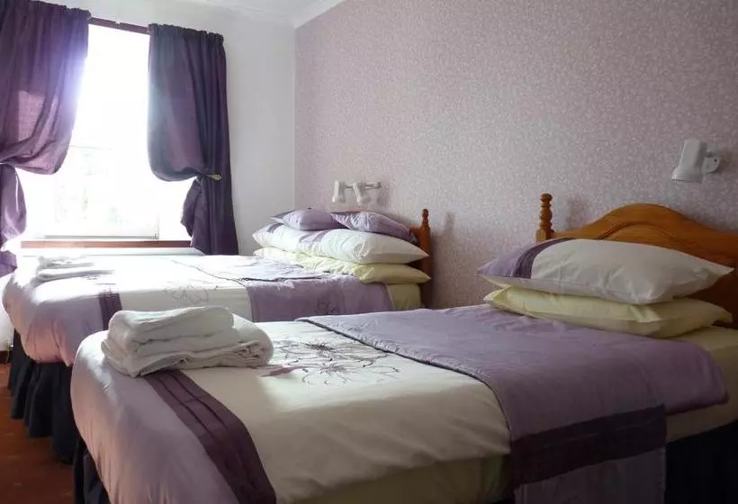 בית מלון כפרי The Brown Trout