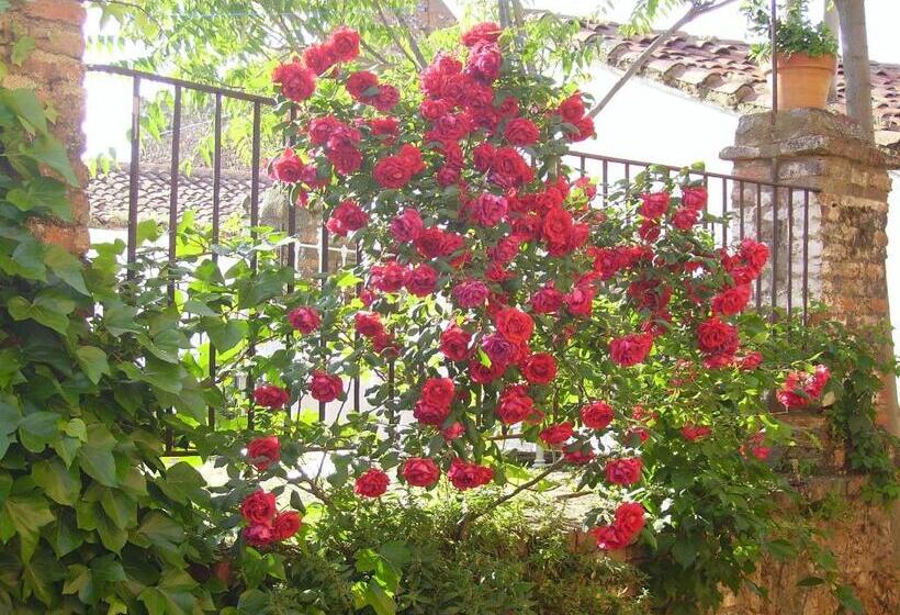 ホテル Boutique Condes Fúcares