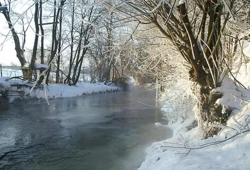Отель Gästehäuser Anni Ehrndorfer