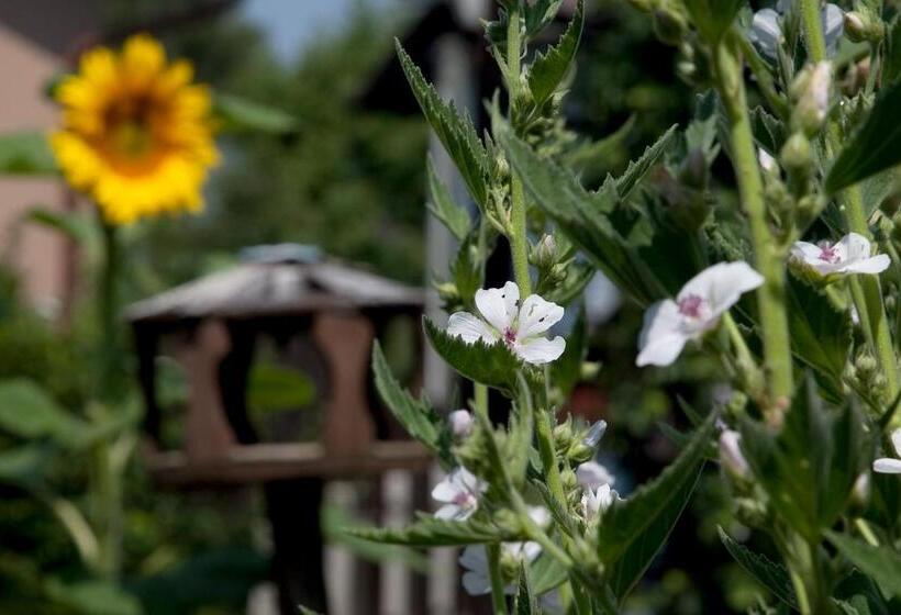 فندق Gästehäuser Anni Ehrndorfer