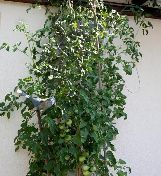 فندق Gästehäuser Anni Ehrndorfer