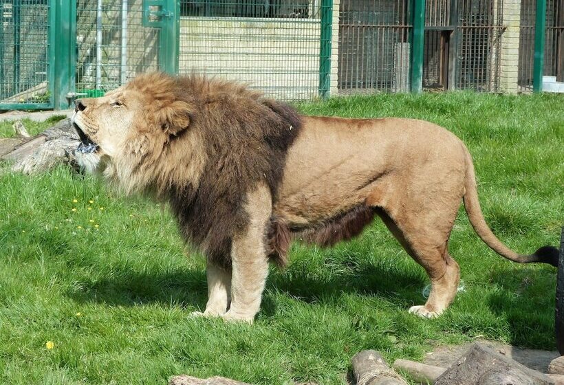 호텔 Howarth House