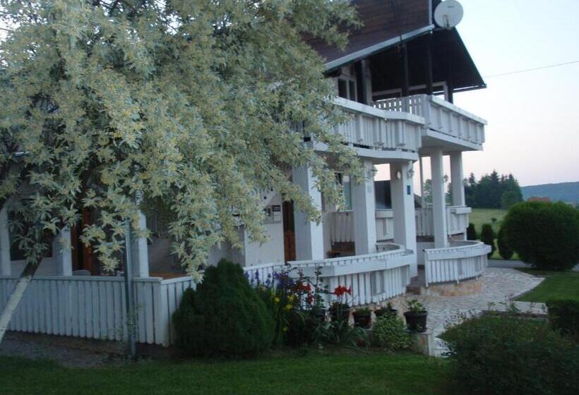 بنسيون House Zupan