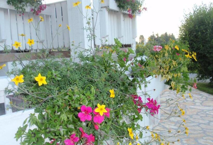 بنسيون House Zupan