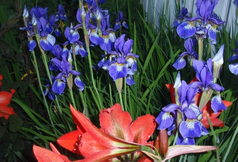 بنسيون House Zupan