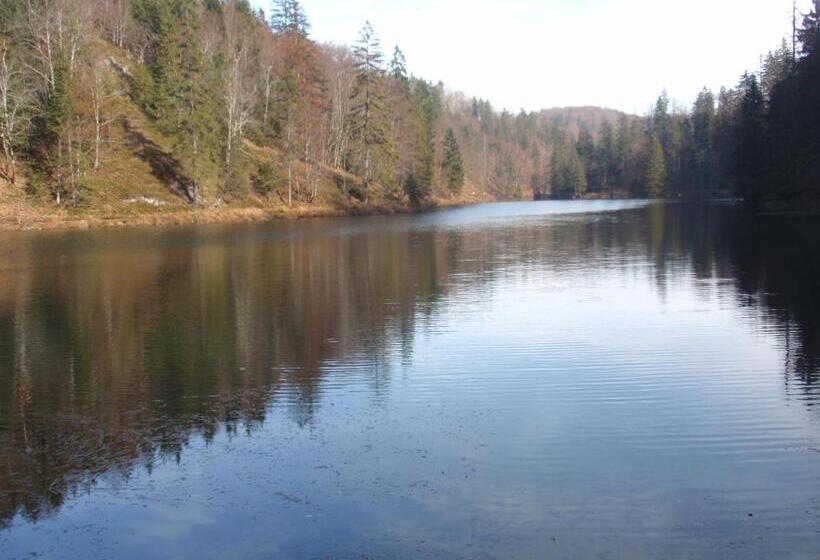 بنسيون House Zupan