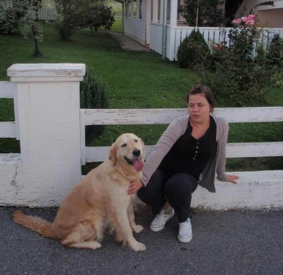 بنسيون House Zupan